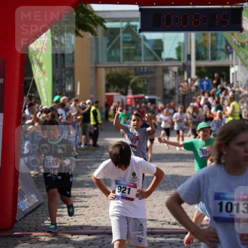 13.06.2025 - Holstenköstenlauf Felixshl http://msf.ph/oto/7926651 13.06.2025 16:38:29 Laufen 240, 243, 244, 519, 780, 916, 921, 1007, 1025, 1099, 1340, 1350, 1403, 1933 meine-sportfotos.de