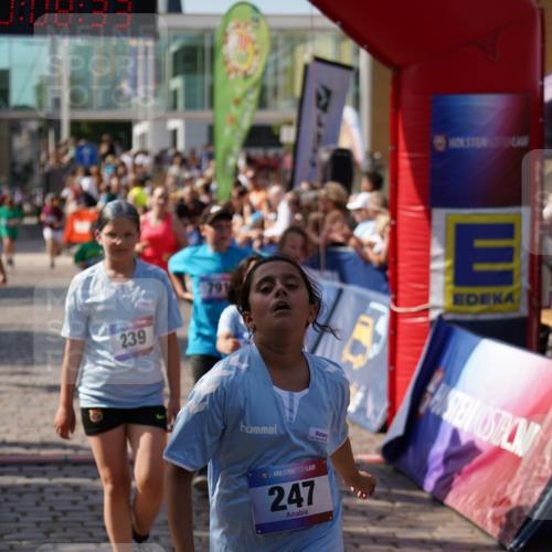 13.06.2025 - Holstenköstenlauf Felixshl http://msf.ph/oto/7926713 13.06.2025 16:38:48 Laufen 234, 239, 247, 636, 652, 768, 769, 791, 1081, 1082, 1094, 1234, 1402 meine-sportfotos.de