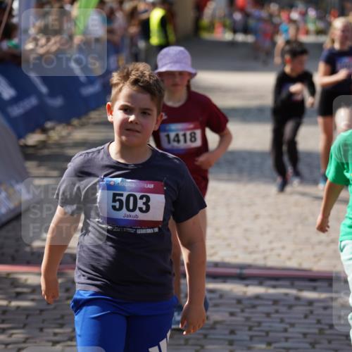 13.06.2025 - Holstenköstenlauf Felixshl http://msf.ph/oto/7926747 13.06.2025 16:39:04 Laufen 784, 1024, 1088, 1239, 1243, 1245, 1418 meine-sportfotos.de