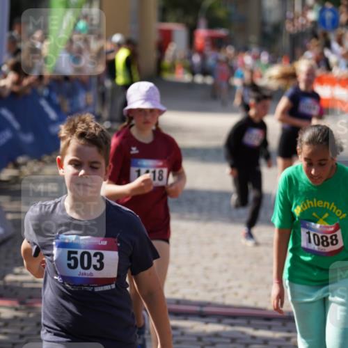 13.06.2025 - Holstenköstenlauf Felixshl http://msf.ph/oto/7926749 13.06.2025 16:39:04 Laufen 784, 1024, 1088, 1239, 1243, 1245, 1418 meine-sportfotos.de