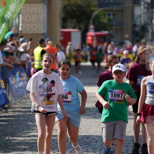 13.06.2025 - Holstenköstenlauf Felixshl http://msf.ph/oto/7926845 13.06.2025 16:39:45 Laufen 133, 140, 365, 366, 641, 648, 650, 778, 909, 926, 1097, 1357 meine-sportfotos.de