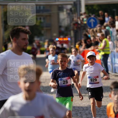 13.06.2025 - Holstenköstenlauf Felixshl http://msf.ph/oto/7926960 13.06.2025 16:50:20 Laufen 28, 102, 130, 409, 929, 1033 meine-sportfotos.de