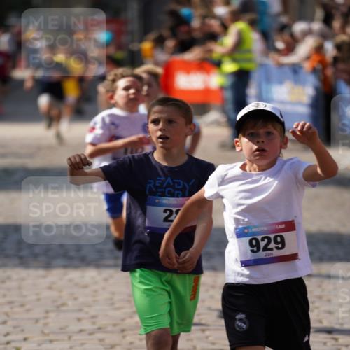 13.06.2025 - Holstenköstenlauf Felixshl http://msf.ph/oto/7926967 13.06.2025 16:50:23 Laufen 28, 102, 143, 409, 553, 659, 929, 1265, 1875, 1892 meine-sportfotos.de