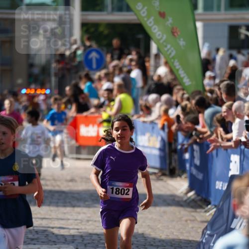 13.06.2025 - Holstenköstenlauf Felixshl http://msf.ph/oto/7927000 13.06.2025 16:50:45 Laufen 22, 407, 408, 413, 818, 1117, 1119, 1123, 1409, 1802, 1830, 1848, 1919 meine-sportfotos.de