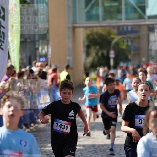 13.06.2025 - Holstenköstenlauf Felixshl http://msf.ph/oto/7927044 13.06.2025 16:51:06 Laufen 57, 91, 100, 260, 402, 416, 539, 552, 933, 935, 1027, 1030, 1036, 1112, 1120, 1258, 1261, 1431, 1818 meine-sportfotos.de