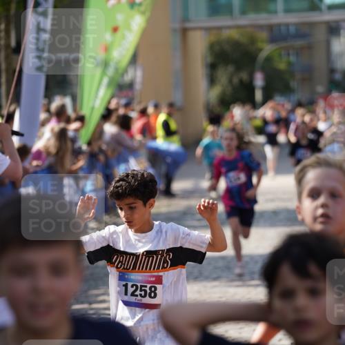 13.06.2025 - Holstenköstenlauf Felixshl http://msf.ph/oto/7927069 13.06.2025 16:51:15 Laufen 56, 91, 396, 414, 416, 534, 552, 799, 804, 933, 1030, 1112, 1258, 1259, 1407, 1430, 1927 meine-sportfotos.de