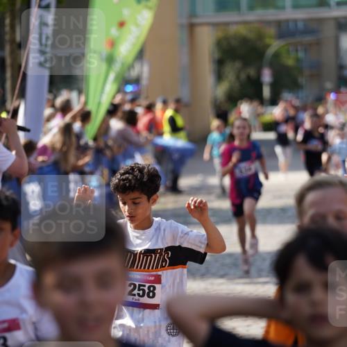 13.06.2025 - Holstenköstenlauf Felixshl http://msf.ph/oto/7927070 13.06.2025 16:51:15 Laufen 56, 91, 396, 414, 416, 534, 552, 799, 804, 933, 1030, 1112, 1258, 1259, 1407, 1430, 1927 meine-sportfotos.de