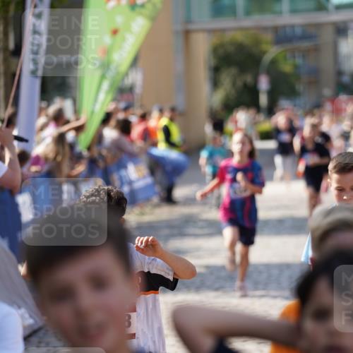13.06.2025 - Holstenköstenlauf Felixshl http://msf.ph/oto/7927072 13.06.2025 16:51:16 Laufen 56, 91, 396, 414, 416, 534, 552, 799, 804, 1030, 1112, 1258, 1259, 1407, 1430, 1809, 1927 meine-sportfotos.de