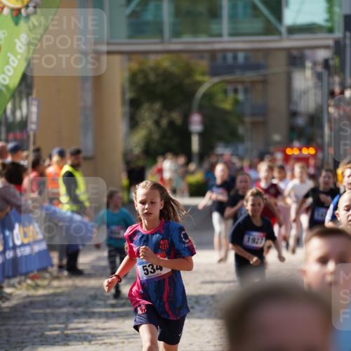 13.06.2025 - Holstenköstenlauf Felixshl http://msf.ph/oto/7927073 13.06.2025 16:51:17 Laufen 56, 91, 396, 414, 416, 534, 552, 799, 804, 932, 1258, 1259, 1407, 1430, 1809, 1927 meine-sportfotos.de