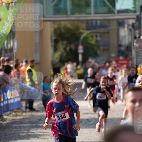 13.06.2025 - Holstenköstenlauf Felixshl http://msf.ph/oto/7927074 13.06.2025 16:51:17 Laufen 56, 91, 396, 414, 416, 534, 552, 799, 804, 932, 1258, 1259, 1407, 1430, 1809, 1927 meine-sportfotos.de