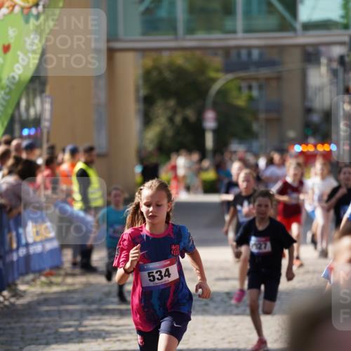 13.06.2025 - Holstenköstenlauf Felixshl http://msf.ph/oto/7927075 13.06.2025 16:51:17 Laufen 56, 91, 396, 414, 416, 534, 552, 799, 804, 932, 1258, 1259, 1407, 1430, 1809, 1927 meine-sportfotos.de