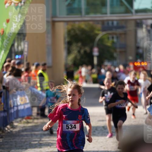 13.06.2025 - Holstenköstenlauf Felixshl http://msf.ph/oto/7927076 13.06.2025 16:51:17 Laufen 56, 91, 396, 414, 416, 534, 552, 799, 804, 932, 1258, 1259, 1407, 1430, 1809, 1927 meine-sportfotos.de