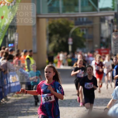 13.06.2025 - Holstenköstenlauf Felixshl http://msf.ph/oto/7927077 13.06.2025 16:51:17 Laufen 56, 91, 396, 414, 416, 534, 552, 799, 804, 932, 1258, 1259, 1407, 1430, 1809, 1927 meine-sportfotos.de