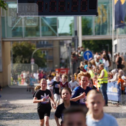13.06.2025 - Holstenköstenlauf Felixshl http://msf.ph/oto/7927080 13.06.2025 16:51:19 Laufen 56, 396, 414, 534, 799, 804, 932, 939, 1029, 1259, 1407, 1430, 1809, 1927 meine-sportfotos.de