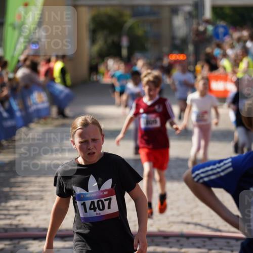 13.06.2025 - Holstenköstenlauf Felixshl http://msf.ph/oto/7927089 13.06.2025 16:51:23 Laufen 56, 804, 810, 932, 939, 1029, 1035, 1259, 1262, 1407, 1430, 1809, 1882, 1927 meine-sportfotos.de