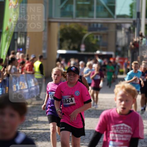 13.06.2025 - Holstenköstenlauf Felixshl http://msf.ph/oto/7927128 13.06.2025 16:51:42 Laufen 15, 27, 51, 127, 128, 137, 406, 541, 544, 812, 813, 937, 1166, 1167, 1824, 1860 meine-sportfotos.de