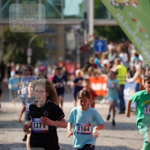 13.06.2025 - Holstenköstenlauf Felixshl http://msf.ph/oto/7927148 13.06.2025 16:51:54 Laufen 41, 48, 93, 146, 399, 541, 802, 807, 815, 1028, 1032, 1034, 1113, 1164, 1260, 1366, 1371, 1935 meine-sportfotos.de