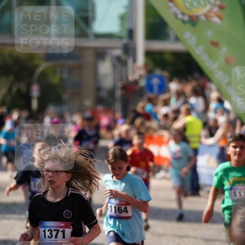 13.06.2025 - Holstenköstenlauf Felixshl http://msf.ph/oto/7927149 13.06.2025 16:51:55 Laufen 41, 48, 93, 146, 399, 802, 807, 815, 1028, 1032, 1034, 1113, 1164, 1260, 1366, 1371, 1935 meine-sportfotos.de