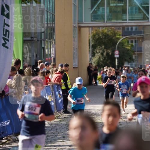 13.06.2025 - Holstenköstenlauf Felixshl http://msf.ph/oto/7927158 13.06.2025 16:51:59 Laufen 41, 48, 93, 399, 537, 798, 802, 814, 815, 1032, 1034, 1113, 1164, 1260, 1366, 1935 meine-sportfotos.de