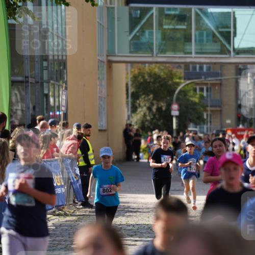 13.06.2025 - Holstenköstenlauf Felixshl http://msf.ph/oto/7927159 13.06.2025 16:51:59 Laufen 41, 48, 93, 399, 537, 798, 802, 814, 815, 1032, 1034, 1113, 1164, 1260, 1366, 1935 meine-sportfotos.de