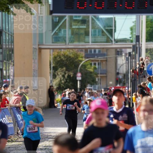 13.06.2025 - Holstenköstenlauf Felixshl http://msf.ph/oto/7927160 13.06.2025 16:52:00 Laufen 41, 48, 93, 399, 537, 798, 802, 814, 815, 1032, 1034, 1113, 1260, 1366, 1935 meine-sportfotos.de