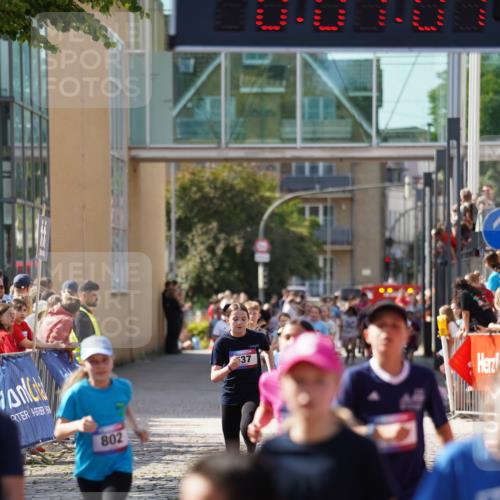 13.06.2025 - Holstenköstenlauf Felixshl http://msf.ph/oto/7927162 13.06.2025 16:52:00 Laufen 41, 48, 93, 399, 537, 798, 802, 814, 815, 1032, 1034, 1113, 1260, 1366, 1935 meine-sportfotos.de