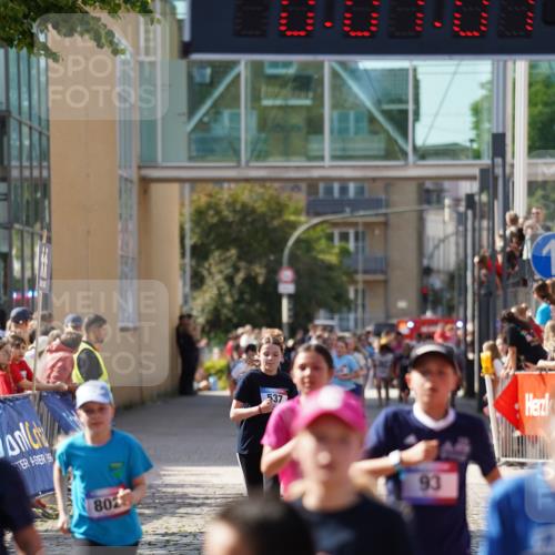 13.06.2025 - Holstenköstenlauf Felixshl http://msf.ph/oto/7927163 13.06.2025 16:52:00 Laufen 41, 48, 93, 399, 537, 798, 802, 814, 815, 1032, 1034, 1113, 1260, 1366, 1935 meine-sportfotos.de