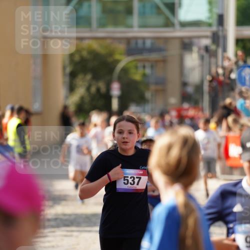13.06.2025 - Holstenköstenlauf Felixshl http://msf.ph/oto/7927169 13.06.2025 16:52:04 Laufen 41, 68, 93, 399, 537, 798, 802, 814, 1040, 1109, 1111, 1366, 1883, 1935 meine-sportfotos.de