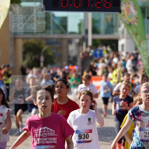 13.06.2025 - Holstenköstenlauf Felixshl http://msf.ph/oto/7927209 13.06.2025 16:52:25 Laufen 126, 255, 256, 262, 266, 394, 412, 540, 549, 660, 809, 817, 927, 930, 936, 938, 1250, 1263, 1266 meine-sportfotos.de
