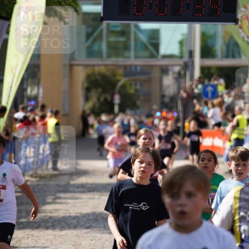 13.06.2025 - Holstenköstenlauf Felixshl http://msf.ph/oto/7927231 13.06.2025 16:52:33 Laufen 71, 72, 394, 412, 535, 538, 555, 938, 1108, 1263 meine-sportfotos.de