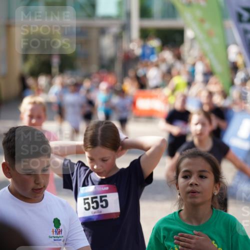 13.06.2025 - Holstenköstenlauf Felixshl http://msf.ph/oto/7927245 13.06.2025 16:52:39 Laufen 71, 72, 257, 403, 535, 538, 542, 800, 803, 1253 meine-sportfotos.de