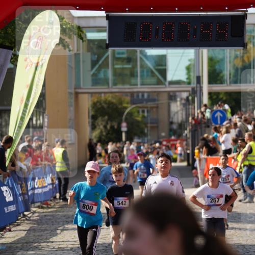 13.06.2025 - Holstenköstenlauf Felixshl http://msf.ph/oto/7927257 13.06.2025 16:52:43 Laufen 257, 403, 535, 538, 542, 797, 800, 803, 816, 1253 meine-sportfotos.de