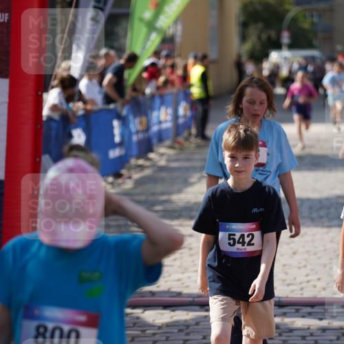 13.06.2025 - Holstenköstenlauf Felixshl http://msf.ph/oto/7927263 13.06.2025 16:52:48 Laufen 257, 403, 542, 551, 797, 800, 803, 816, 931, 1253 meine-sportfotos.de