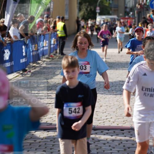 13.06.2025 - Holstenköstenlauf Felixshl http://msf.ph/oto/7927265 13.06.2025 16:52:49 Laufen 257, 403, 542, 551, 797, 803, 816, 931, 1253 meine-sportfotos.de