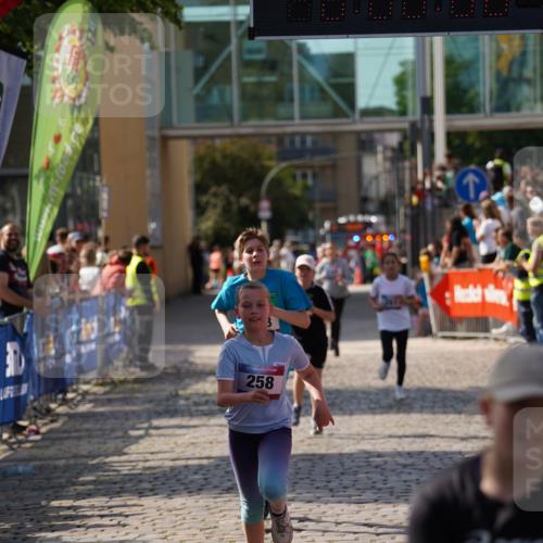 13.06.2025 - Holstenköstenlauf Felixshl http://msf.ph/oto/7927313 13.06.2025 16:53:07 Laufen 88, 89, 258, 261, 808, 1368, 1835 meine-sportfotos.de
