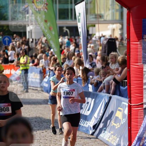 13.06.2025 - Holstenköstenlauf Felixshl http://msf.ph/oto/7927350 13.06.2025 16:53:33 Laufen 269, 661, 1107, 1163, 1907, 1908 meine-sportfotos.de
