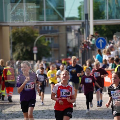 13.06.2025 - Holstenköstenlauf Felixshl http://msf.ph/oto/7927413 13.06.2025 16:54:02 Laufen 131, 142, 556, 1114, 1122, 1369, 1370, 1831 meine-sportfotos.de