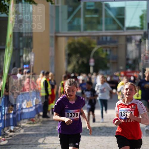13.06.2025 - Holstenköstenlauf Felixshl http://msf.ph/oto/7927415 13.06.2025 16:54:03 Laufen 131, 142, 556, 663, 1114, 1122, 1369, 1370, 1831 meine-sportfotos.de