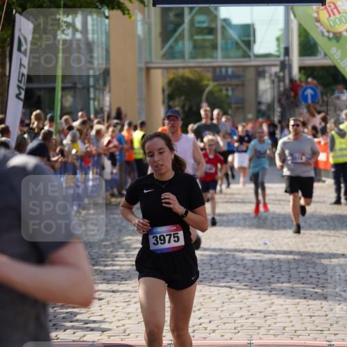 13.06.2025 - Holstenköstenlauf Felixshl http://msf.ph/oto/7931153 13.06.2025 17:58:43 Laufen 2016, 2180, 2181, 2509, 2521, 2522, 2617, 3162, 3260, 3312, 3605, 3962, 3975 meine-sportfotos.de
