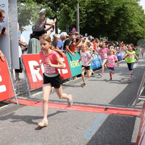 15.06.2025 - REWE Women's Run Strokosch-Dieckow http://msf.ph/oto/7941982 15.06.2025 11:34:31 Ziel 110, 146, 150, 154, 157, 163, 178, 180, 185, 188, 192, 217, 234, 237, 283, 306, 314 meine-sportfotos.de