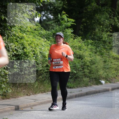 15.06.2025 - REWE Women's Run Jannik Wohlers http://msf.ph/oto/7945562 15.06.2025 10:18:41 Laufen 312, 5664 meine-sportfotos.de