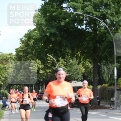 15.06.2025 - REWE Women's Run Jannik Wohlers http://msf.ph/oto/7951617 15.06.2025 09:51:07 Laufen  meine-sportfotos.de