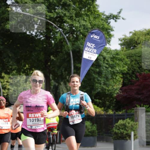 15.06.2025 - REWE Women's Run Jannik Wohlers http://msf.ph/oto/7954198 15.06.2025 08:49:24 Laufen 10474, 05, 30, 21, 0975, 10197, 10875 meine-sportfotos.de