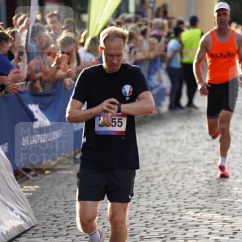 13.06.2025 - Holstenköstenlauf Felixshl http://msf.ph/oto/7956517 13.06.2025 19:47:16 Laufen 2002, 2229, 2692, 2881, 3886, 3955, 3981 meine-sportfotos.de