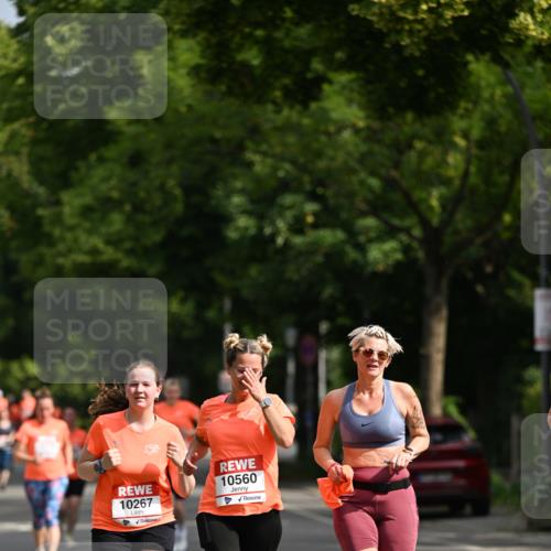 15.06.2025 - REWE Women's Run Dr. Thomas Lammeyer http://msf.ph/oto/7957189 15.06.2025 09:47:28 Laufen 10267, 10560 meine-sportfotos.de
