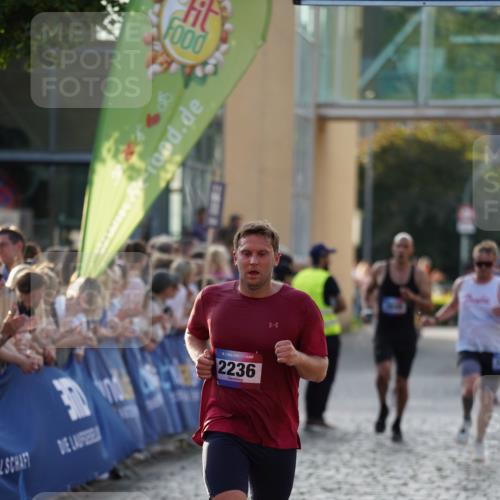 13.06.2025 - Holstenköstenlauf Felixshl http://msf.ph/oto/7957671 13.06.2025 19:48:33 Laufen 2236, 2807, 2819, 3209, 3210, 3211, 3219, 3648 meine-sportfotos.de