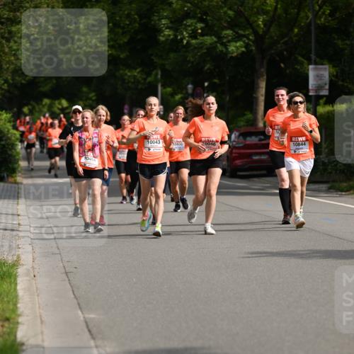 15.06.2025 - REWE Women's Run Dr. Thomas Lammeyer http://msf.ph/oto/7959847 15.06.2025 09:49:15 Laufen 10043, 10844 meine-sportfotos.de