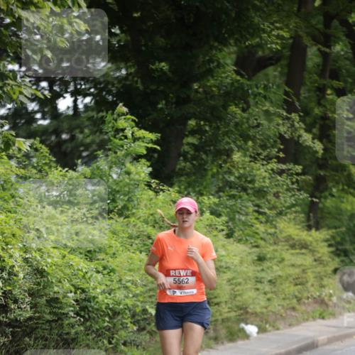15.06.2025 - REWE Women's Run Jannik Wohlers http://msf.ph/oto/7964344 15.06.2025 09:59:21 Laufen 5562 meine-sportfotos.de