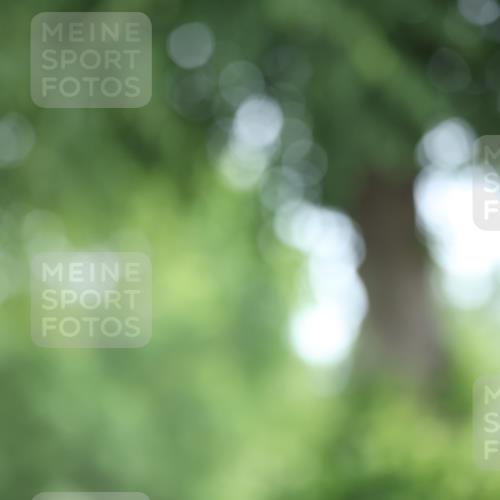 15.06.2025 - 7 Türme Triathlon Yannick Fuchs http://msf.ph/oto/7966012 15.06.2025 11:16:23 Radfahren 256, 308 meine-sportfotos.de
