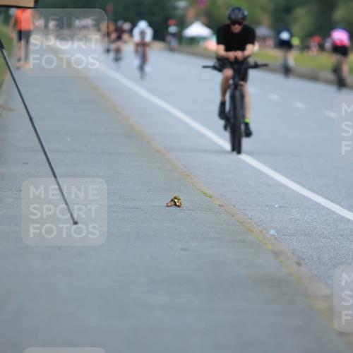 21.06.2025 - 27. Vierlanden-Triathlon H.Heesch http://msf.ph/oto/7990842 15.06.2025 11:53:43 Radfahren 893 meine-sportfotos.de